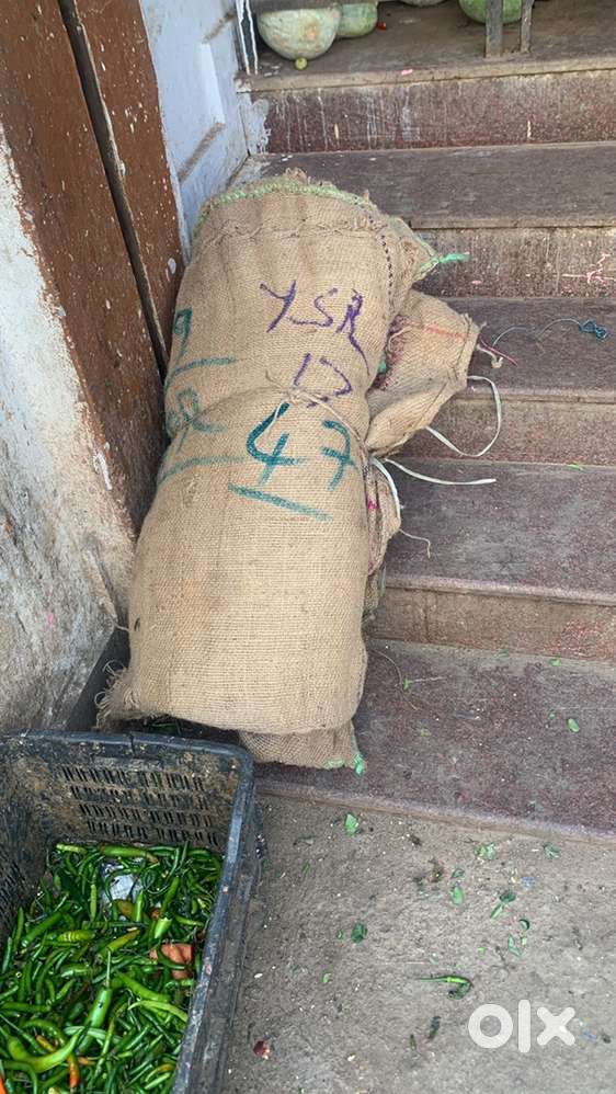 236 notary ( saket tower jai jawan nagar colony )