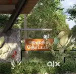 20 types of fruits farm land sale in othakalmandampam Pollachi road