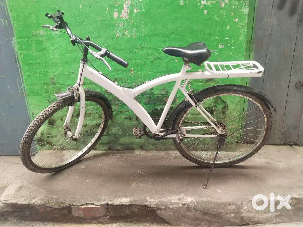 Adult Cycle