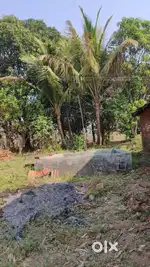 Dairy farm