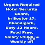 All Security Jobs Chandigarh 27