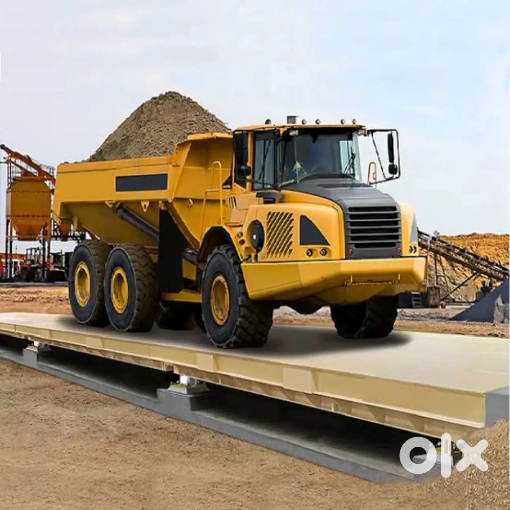 Accountant with tally and excellent knowledge