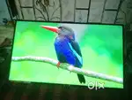 MI TV 40 inch