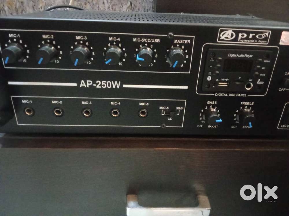 250 watt Dj amplifier with double 12 inch speaker pair.