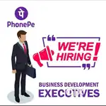 Phonepe Business Development Executive