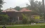 Ayurvedha resort and retreat centre at Alappy