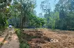 48 cents of land with PWD road access