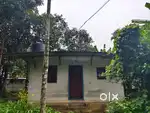 10 cent one house , 8 cent another house selling