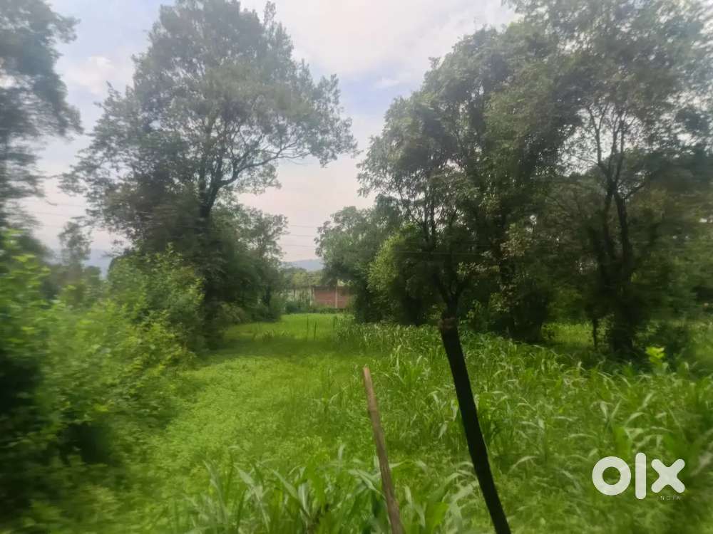 Plot for sale