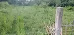 Land for sale (2Katha)