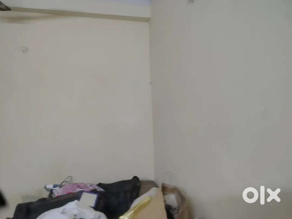 SEARCHING FOR HIEGIENIC ROOMMATE