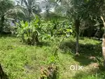 സ്ഥലം വില്പനയ്ക്കു മമ്പറം 28 cent