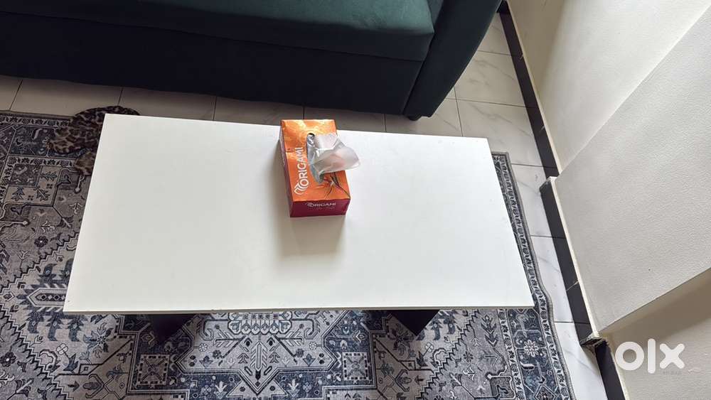 Sofa cum bed, sofa and coffee table on Sale