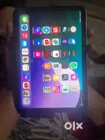 Ipad mini 6 256gb