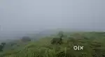 1,50,000 per cent, plot size -20cents and above upto  2.5acres.