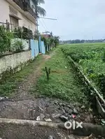 Meherpur Jagadish basu lane 3.5 khatha plot for sale