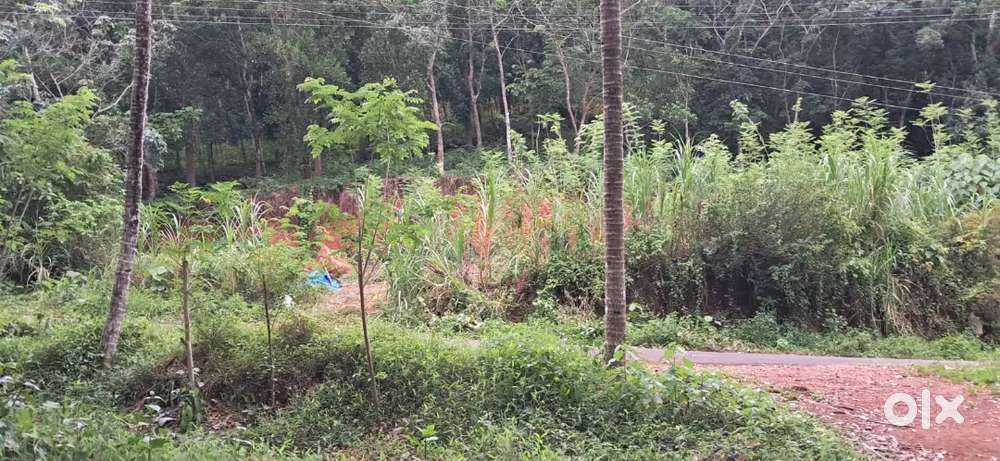 Well maintained property