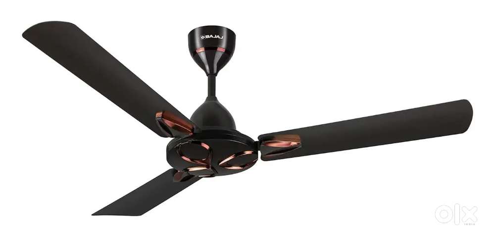 Ceiling fan