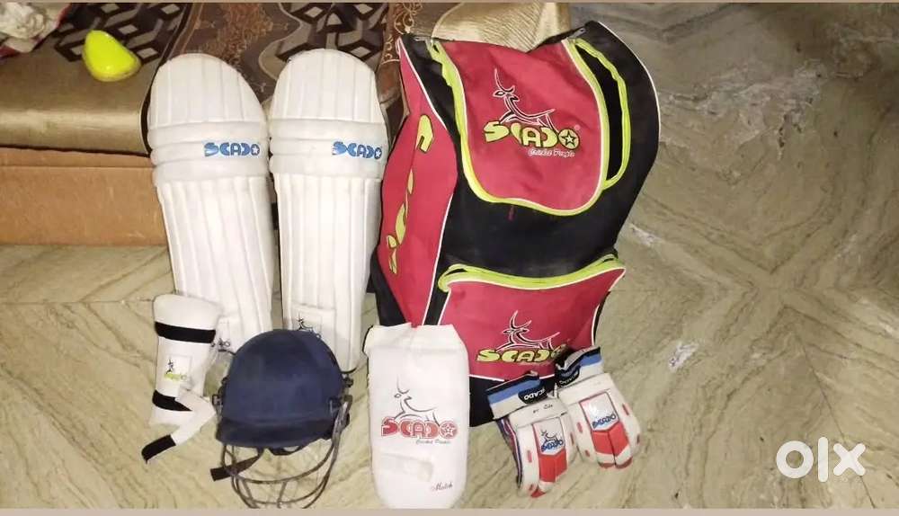 Cricket kit