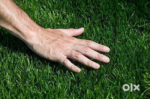 Imported Artificial lawn grass double tone