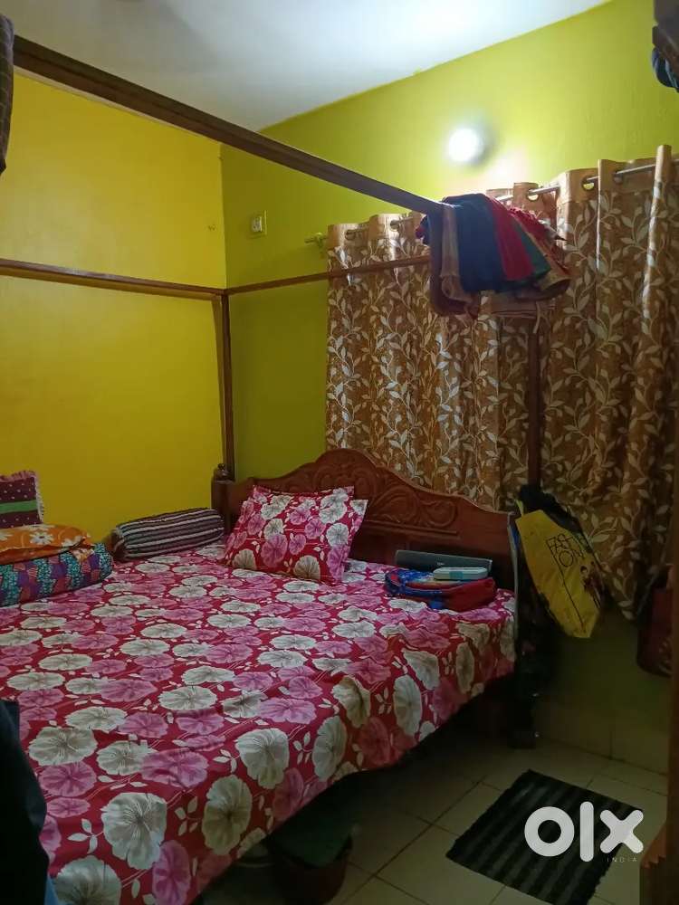 Green garden society