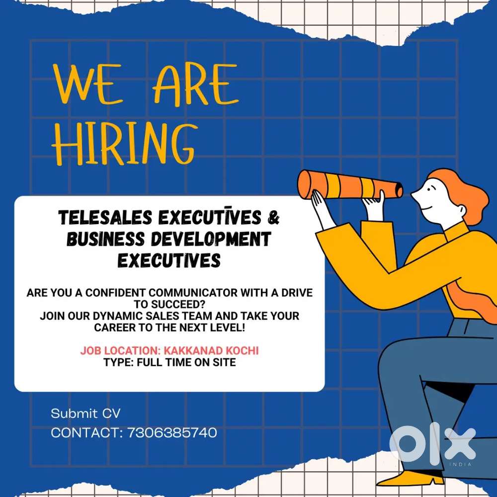 Business development executive and telesales executive