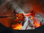 Tandoor snacks chicken tikka chaap karigar chaiye
