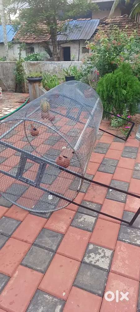 Love birds garden big Cage for sale in pazhaynnur thrissur