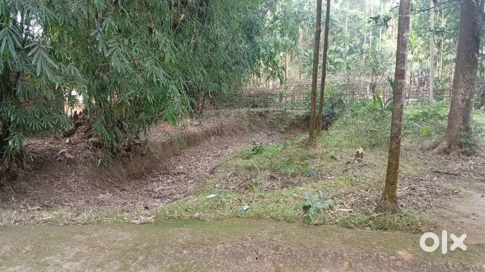 Digaru 1katha plot for sale(ASSAM SONAPUR ROAD)