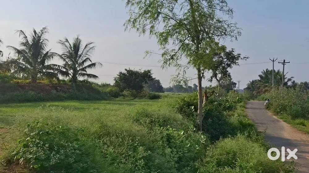 17 cent near PMC college sappadi shoolagiri