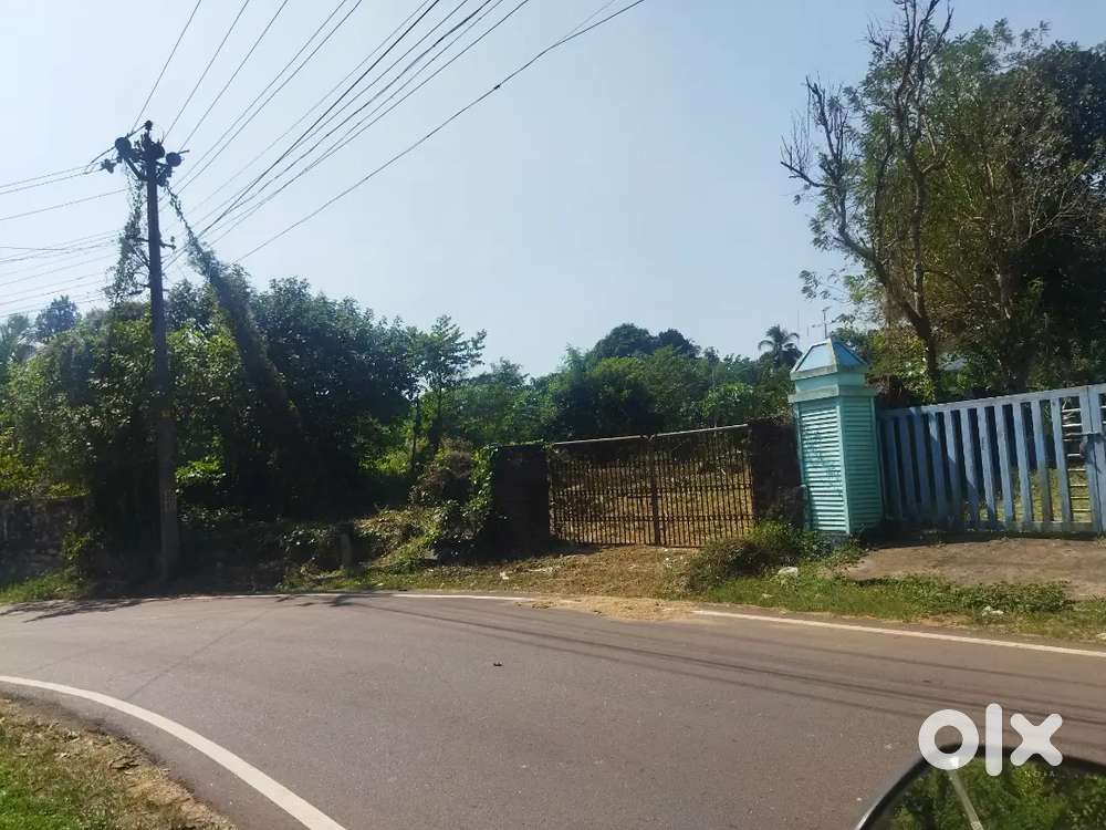 Residential plot near perumpilavu