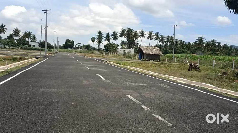 Land Plot near Mettupatty Salem