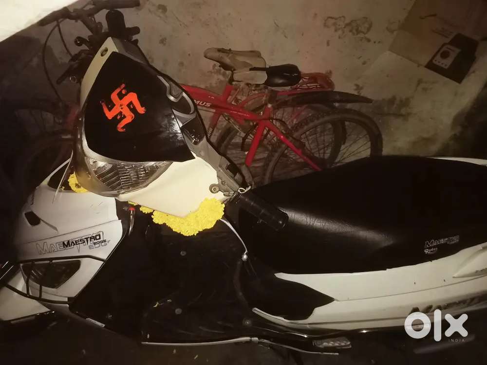 Maestro edge 2018 model
