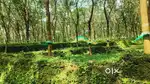 Kothamangalam chelad
