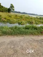 PLOT for sale