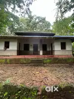 Rent  house