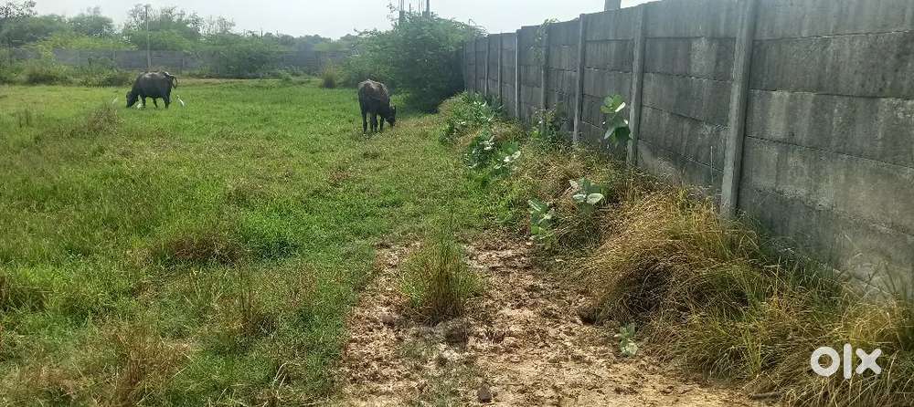 Urgent plot for sale