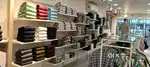 Store Incharge and Sales Executive - Female only
