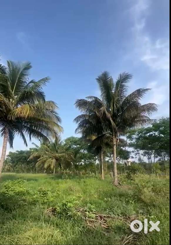 10 Acres 20 Guntas Farm Property – Nelamangala (Yellow Zone)