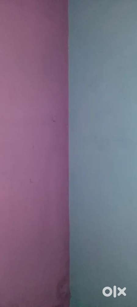 Room available for rent