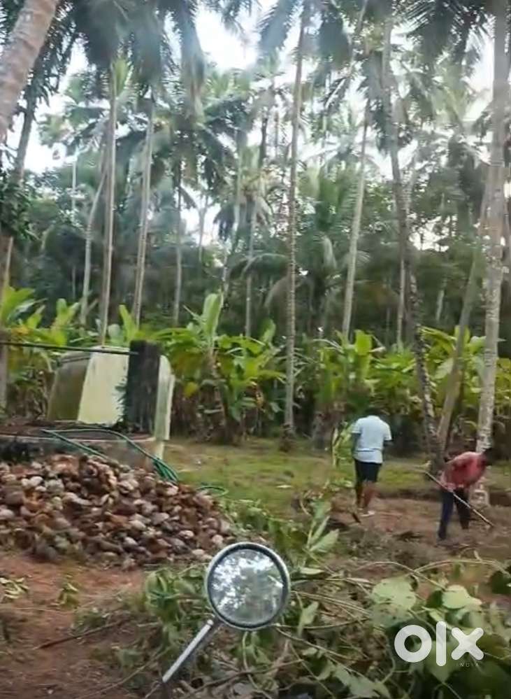 Kuruvattoor 53 Cent House / Villa Plot