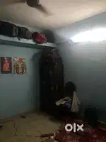 Need room mate