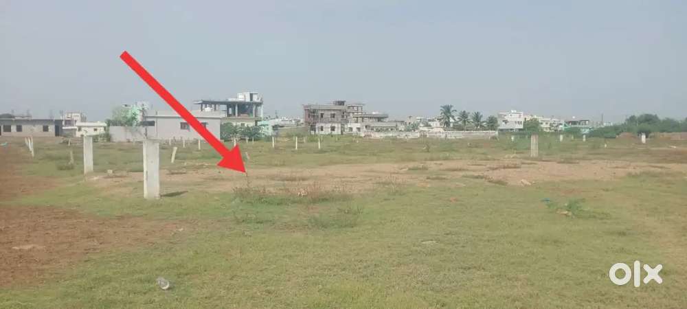 ఒంగోలు.భారత్ నగర్