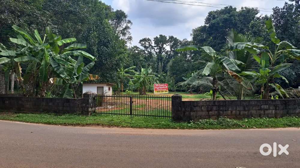 40 Cent for sale at Ezhachery. Pala