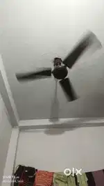 Tofan celling fan