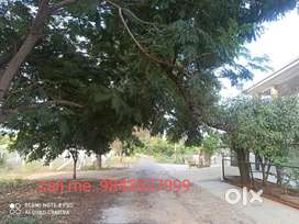 9cent Carner South facing land for sale VIP bash Area