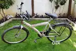 Hercules Bravo Cycle