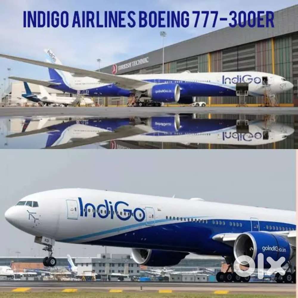 Indigo Airlines jobs /Vacancy for Airport Ground staf / Driver / Crew