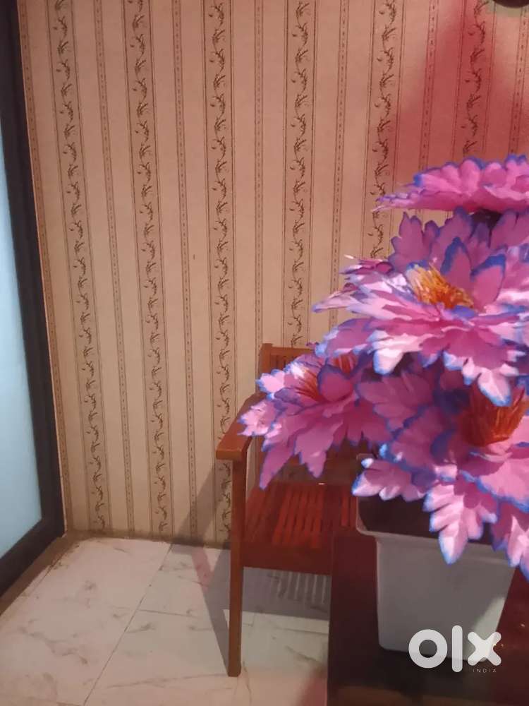 Ayurvedic spa tellicaller female