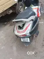 Orjent sell